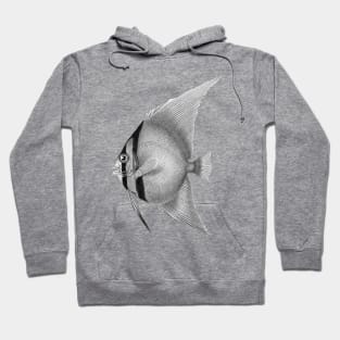 Batfish Hoodie